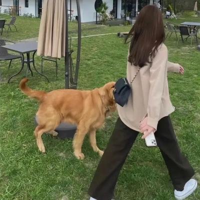 天蝎第一季
