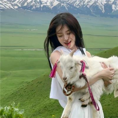 王者天下第五季
